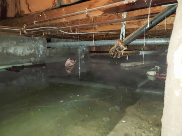 Best Commercial water damage restoration  in Washington, GA