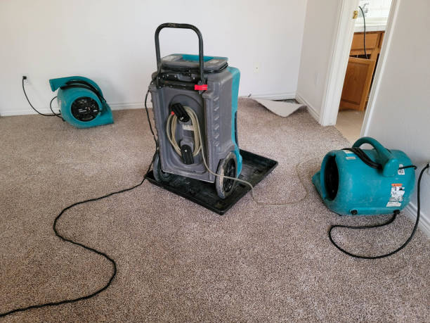 Best Water damage restoration mold remediation  in Washington, GA