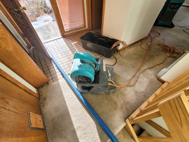 Carpet water damage restoration in GA
