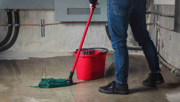 Best Basement water damage restoration  in Washington, GA