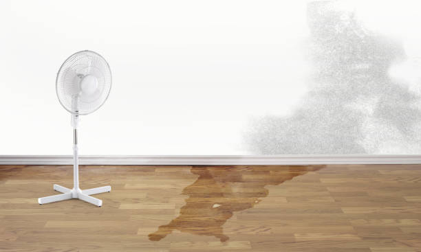 Sewage cleanup and water damage restoration in GA