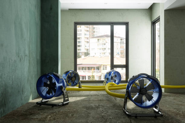  Washington, GA Water damage restoration Pros